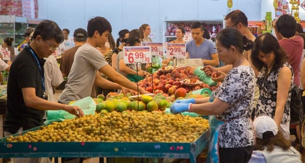 Melbourne's Migrant Stories: The Suburbs and Streets to See: photo 7