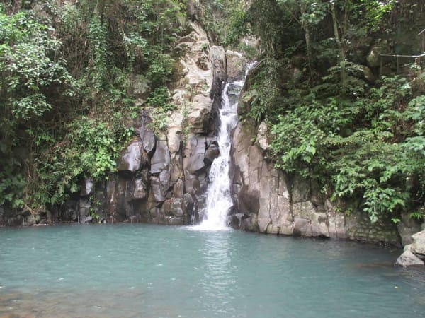 Your Ultimate Guide in Exploring the City of Smiles-Bacolod: photo 5