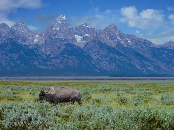 United States National Park Road Trip: photo 1