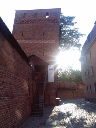 Poland: My hometown Toruń: photo 4