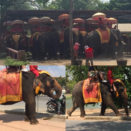 Ayutthaya in a Day: Ten things to see and do in the ancient Thai capital.: photo 1