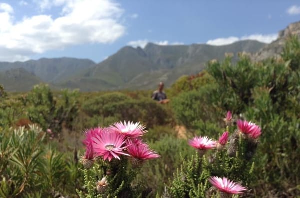 Experience Magical Grabouw, Elgin today: photo 4