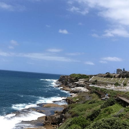 Dreaming in a city called Sydney: photo 7