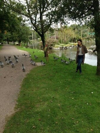 Ireland best spot for a family day: Cork and Fota Wildlife: photo 7
