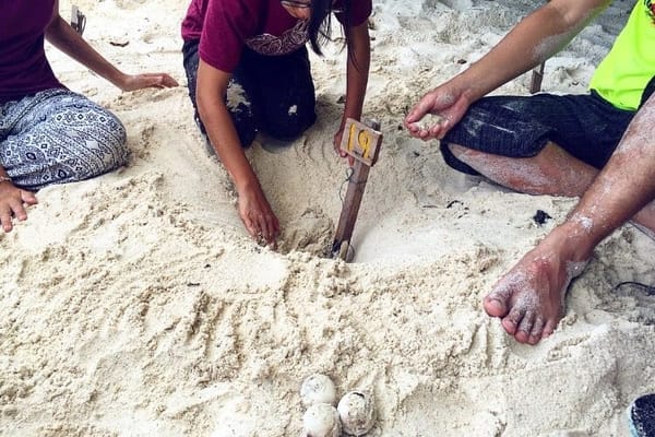 Experience the other side of Lang Tengah Island with LTTW: photo 6