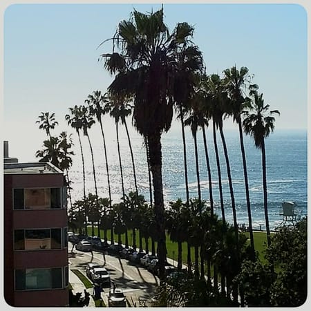 La Jolla: Relaxation Rejuvenation and Fun in the Sun: photo 2