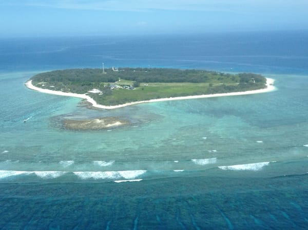 Lady Elliot Island, Australia: Adventure of a lifetime: photo 3