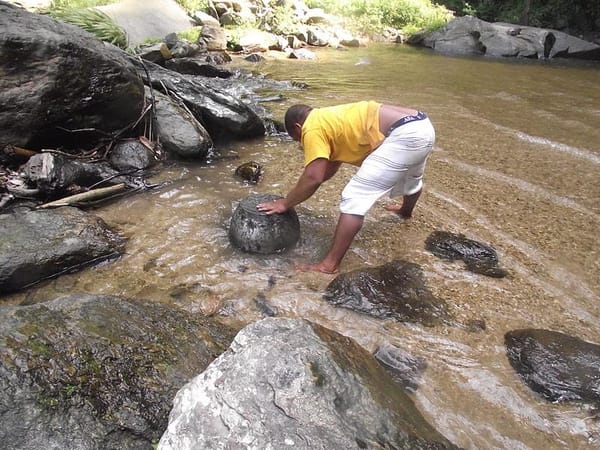 Chuao: a stunning place with denomination of origin cocoa: photo 12