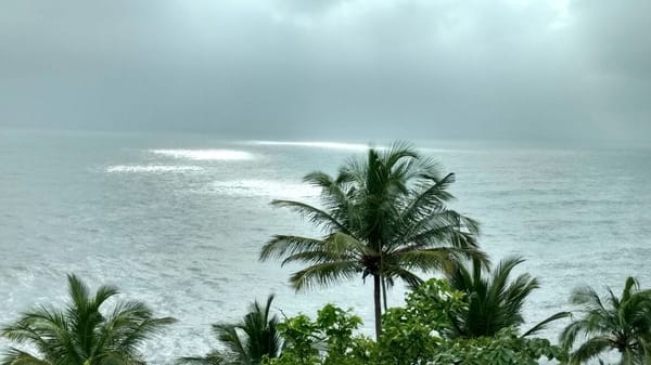 Goa : From Panjim to Querim: photo 5