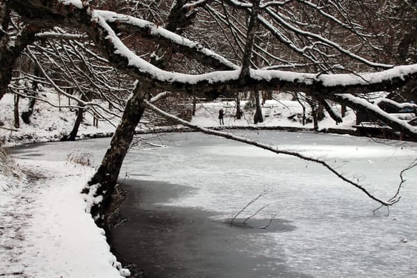 Plitvice Lakes: a frozen paradise during winter: photo 5