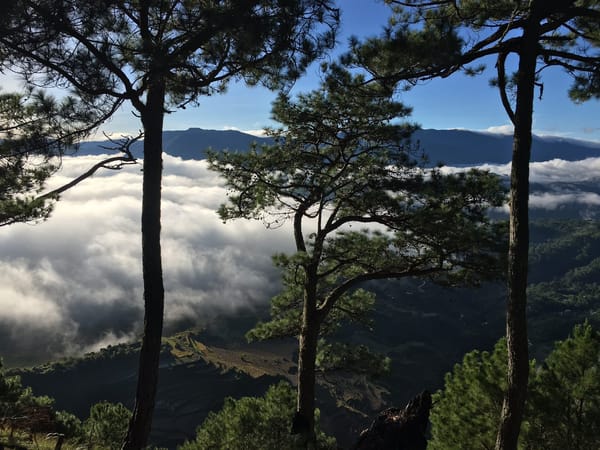 Trekking Mt. Kupapey in Bontoc, Mt. Province: photo 6