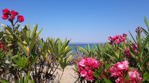 Kyllini: One of the most beautiful and undiscovered Greek beaches: photo 2