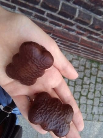 Poland: My hometown Toruń: photo 15