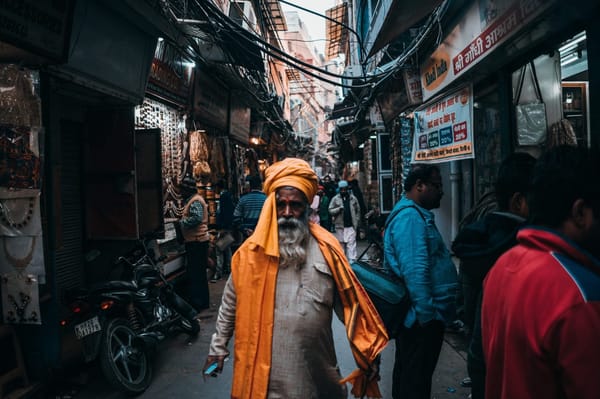 A survival practical guide to Delhi: photo 2