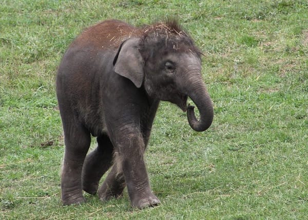 The Best Places to Visit in Nairobi Kenya: photo 2