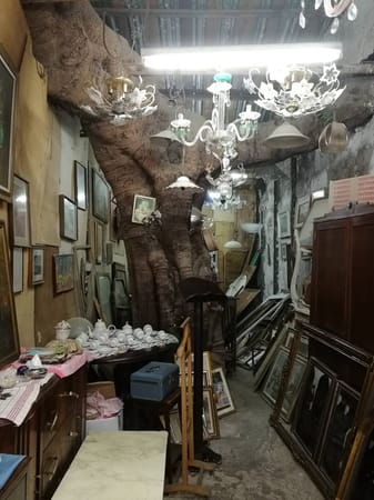 Best things to do in Palermo besides visiting churches!: photo 1