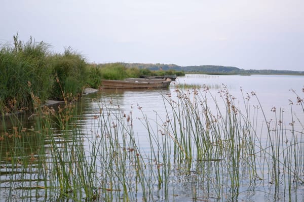 Why Ukraine is perfect choice for an exotic trip: photo 5