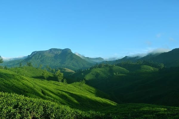 Top Places to Visit in God’s Own Country-Kerela: photo 2