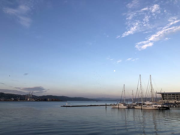 Wellington, the Windy City of Artists: photo 2