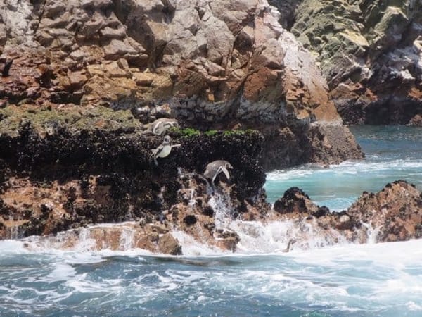 Travel-guide: Peru: photo 5
