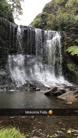 Amazing  free places to visit in Aukland: photo 2
