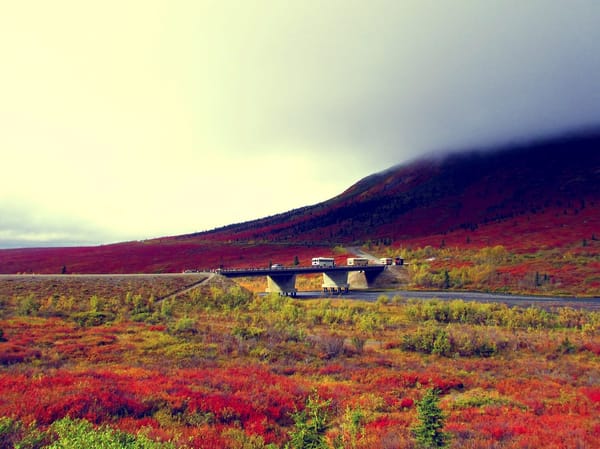 Magical Alaska - 5 Things To Do in Fairbanks: photo 3