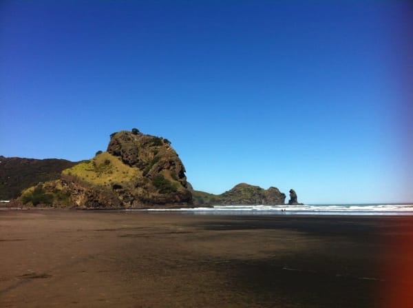 New Zealand: The Wild Side of Auckland: photo 3