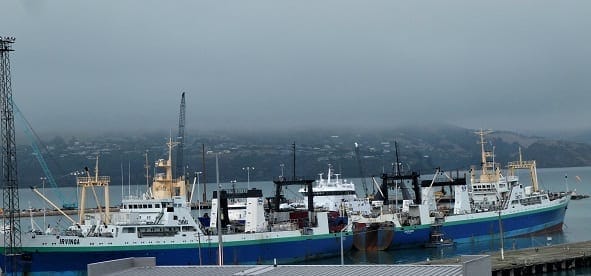 Lyttleton: Magical seaport town: photo 5