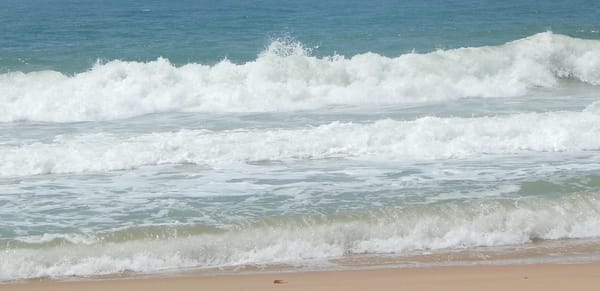 Kerala : Must Visit Places From Kochi to Thiruvananthapuram: photo 12