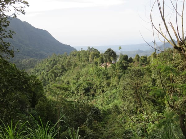 Sekumpul - Bali´s hidden Waterfall: photo 3