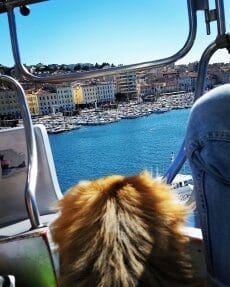 The South Of France; A Weekend in Marseille: photo 3