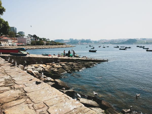 Porto Local Travel Guide: photo 2