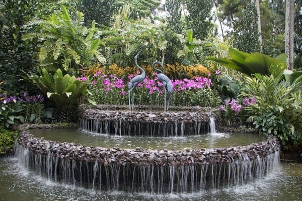Singapore: Get Closer to Nature: photo 21