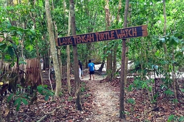 Experience the other side of Lang Tengah Island with LTTW: photo 1