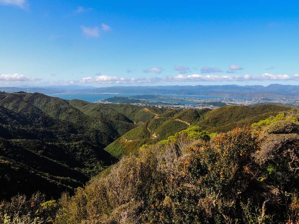 Hawkins Hill: The Hidden Gem of Wellington, New Zealand: photo 1