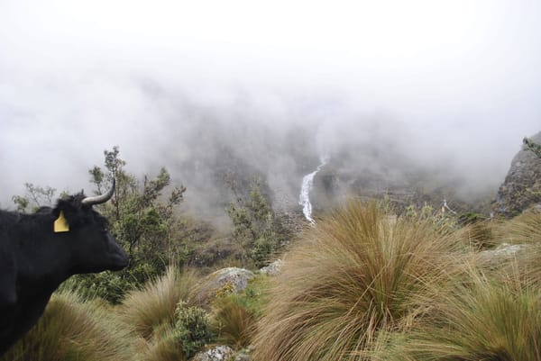 Making the Most of Three Days in Huaraz: photo 5