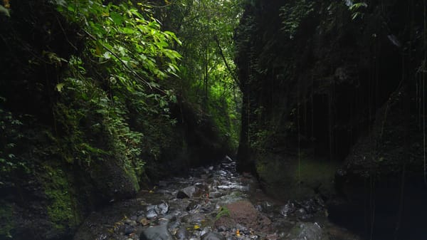 Curug Nangka, Famous Waterfall in Bogor: photo 4