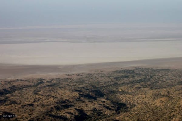 The White Desert : Rann of Kutch: photo 14
