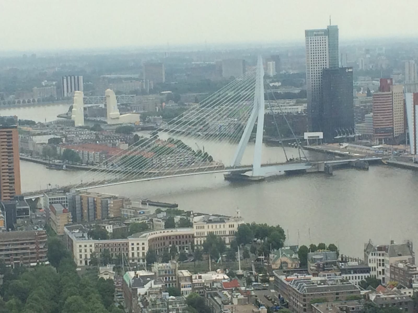 Rotterdam: A Day Guide