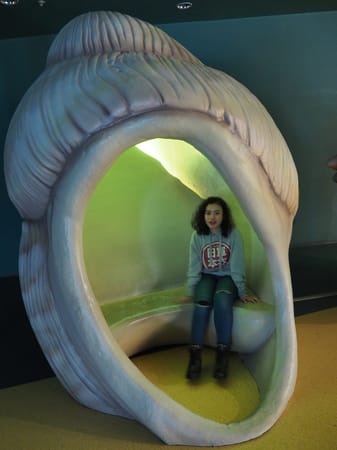 The Center of Oceanography and Marine Biology "Moskvarium": photo 9