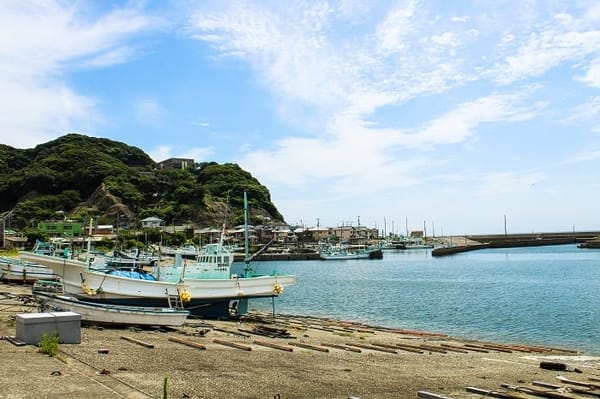 EASY HIKING ADVENTURES AROUND TOKYO: photo 7