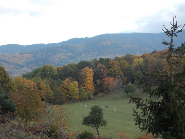 A visual journey of the French countryside: Valley of Munster: photo 2