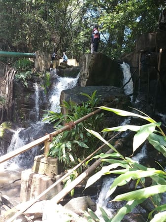 The Perfect Date With Nature; The Oloolua Nature Trail: photo 3