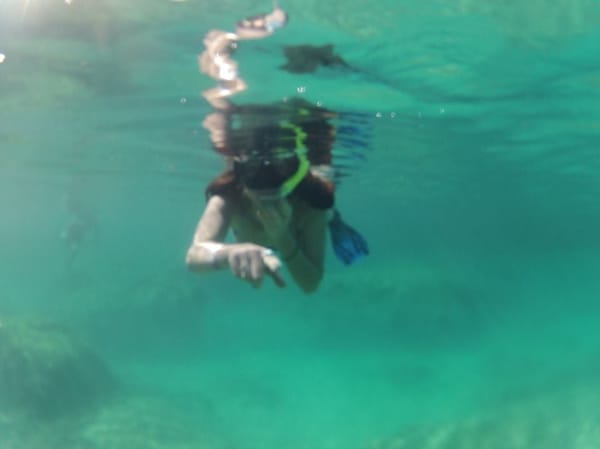 Mexico; A Taste of Playa Del Carmen: photo 3