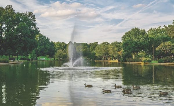 Freedom Park in Charlotte, NC: photo 1