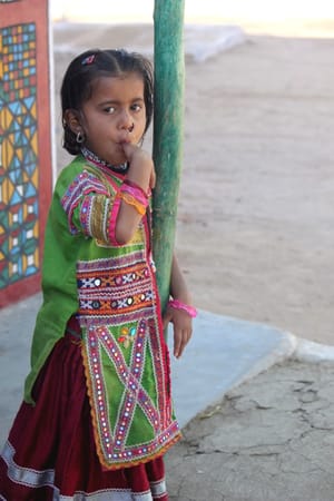 The White Desert : Rann of Kutch: photo 13