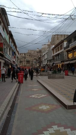 Explore Leh Ladakh in 15 days!: photo 3