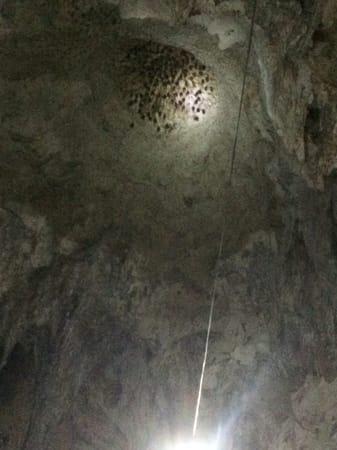 A Day in Albay: Huyop-huyopan Cave,  Cagsawa Ruins and Mt. Mayon: photo 8