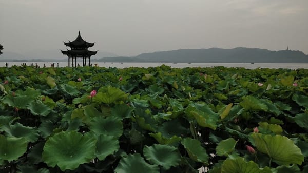 One day in Hangzhou. Explore China: photo 8
