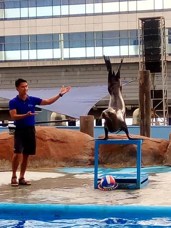 WONDER INSIDE THE OCEAN: Manila Ocean Park: photo 9